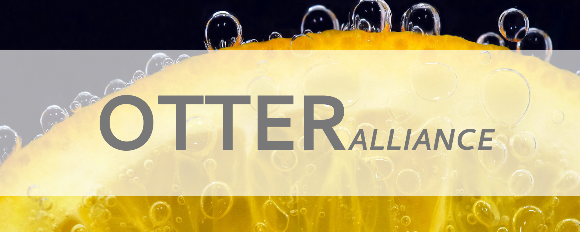 OTTER Alliance Logo Banner